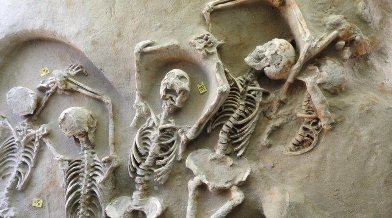«Δεσμώτες του Φαλήρου»: Συνεχίζονται οι εργασίες διάσωσης των 78 αλυσοδεμένων ανθρώπινων σκελετών